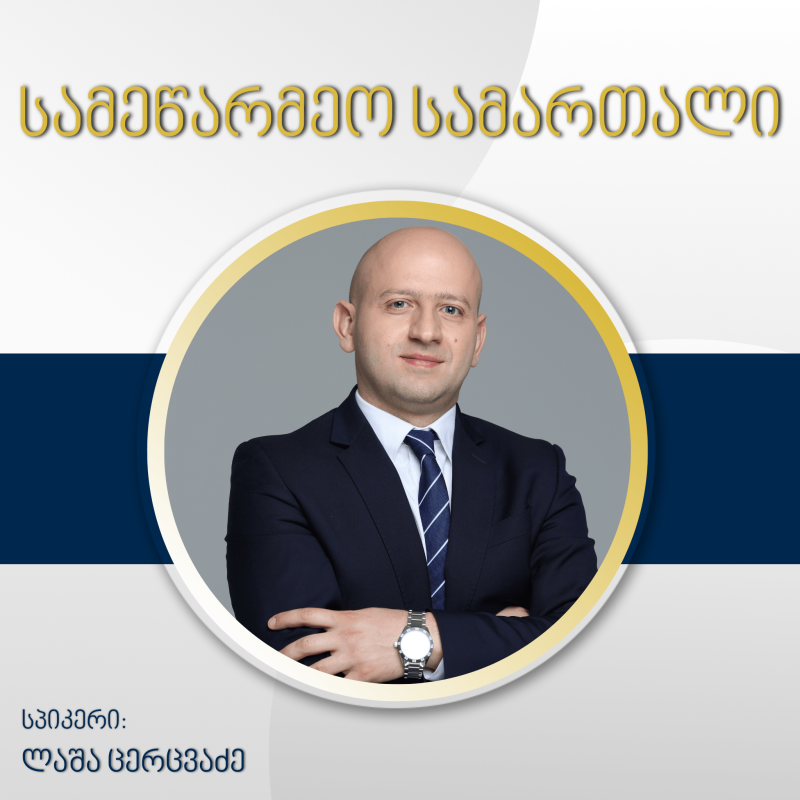 კორპორაციული დოკუმენტაციის შედგენა, საკორპორაციო დავები და წარმომადგენლობა